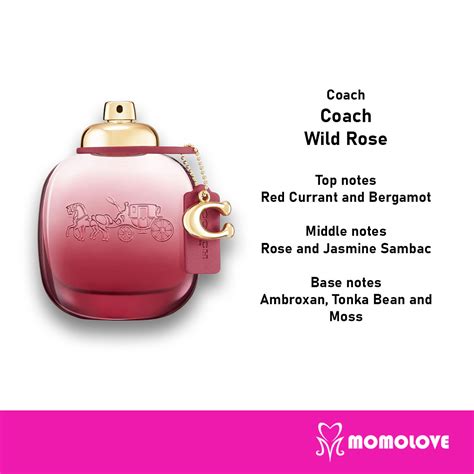 coach wild rose scent notes